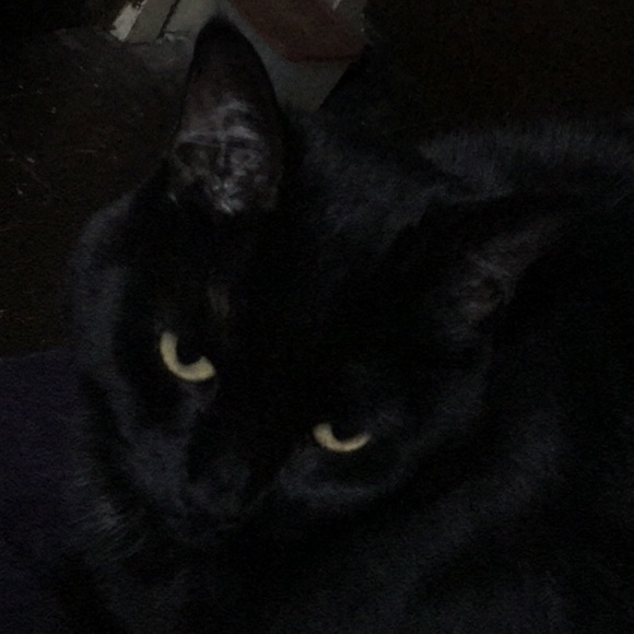 Meet your Posher, Ashlyn - Picture 6 of 10